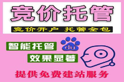 搜索引擎营销（SEM）的未来趋势与案例分析